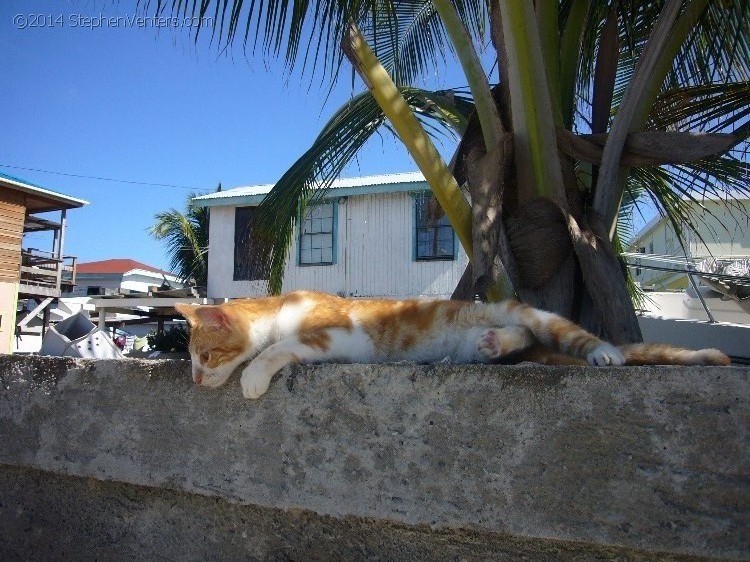 Relaxing in Belize 2007 - StephenVenters.com