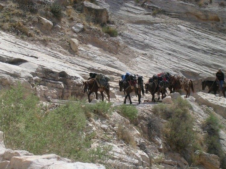 Secret trip to Havasupai 2006 - StephenVenters.com