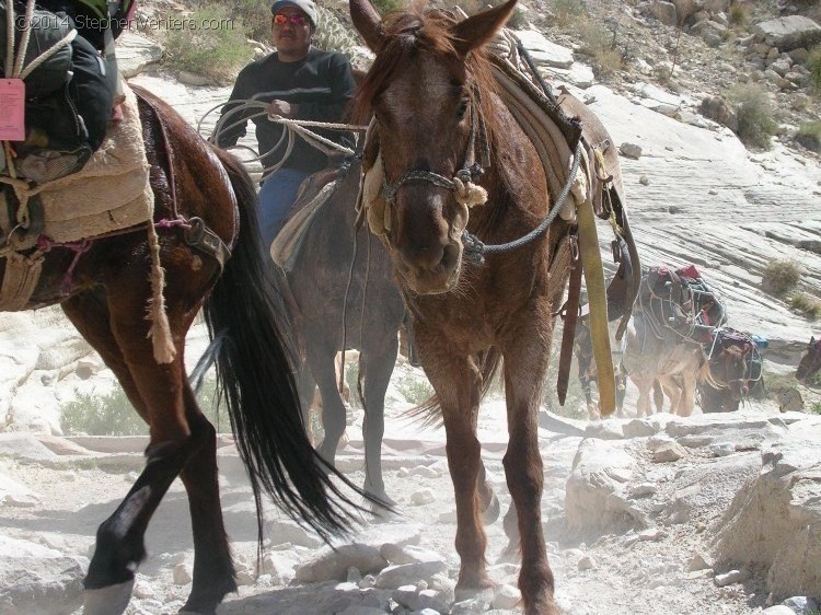 Secret trip to Havasupai 2006 - StephenVenters.com