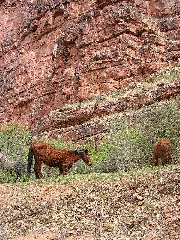 Secret trip to Havasupai 2006 - StephenVenters.com