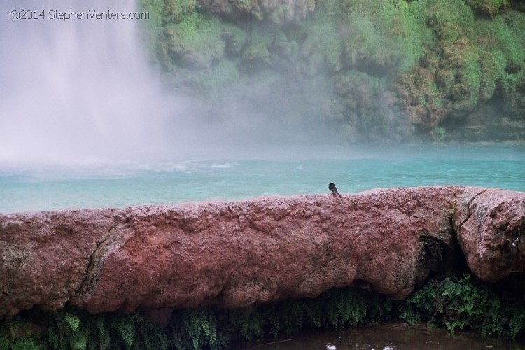 Secret trip to Havasupai 2006 - StephenVenters.com