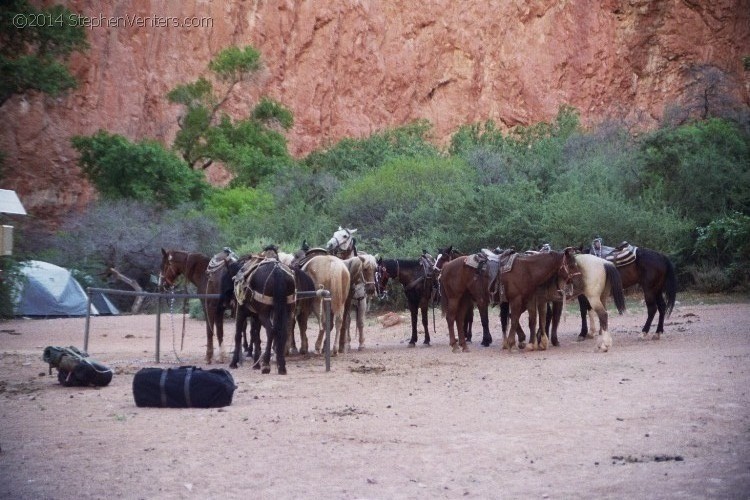 Secret trip to Havasupai 2006 - StephenVenters.com