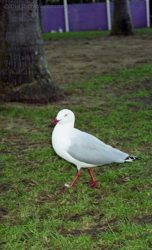 Around the World Trip 2001 - StephenVenters.com