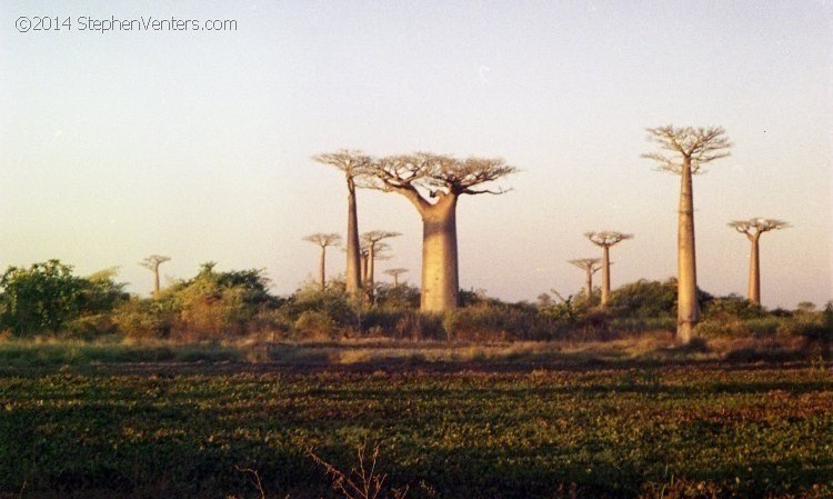 Around the World Trip 2001 - StephenVenters.com