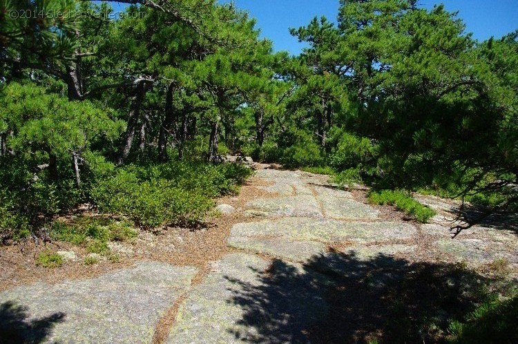 Trip northeast to Acadia NP 2013 - StephenVenters.com