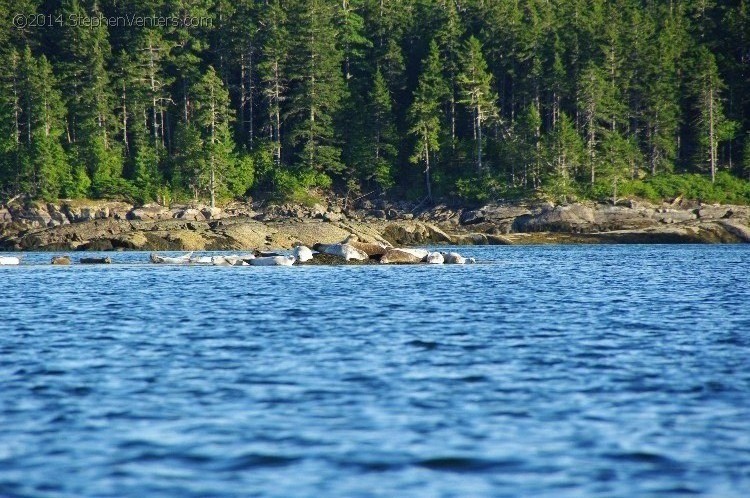 Trip northeast to Acadia NP 2013 - StephenVenters.com