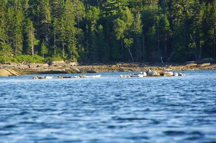 Trip northeast to Acadia NP 2013 - StephenVenters.com