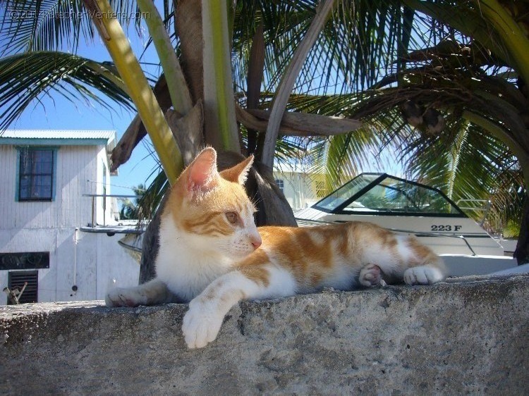 Relaxing in Belize 2007 - StephenVenters.com