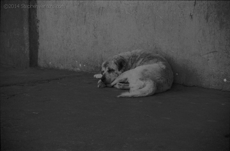 Shoes for Orphaned Soles in Guatemala (2007) - StephenVenters.com