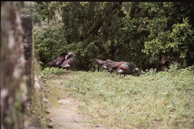 Shoes for Orphaned Soles in Guatemala (2007) - StephenVenters.com