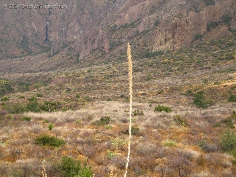 Backpacking in Big Bend NP 2008 - StephenVenters.com