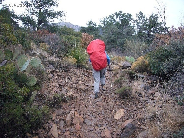 Backpacking in Big Bend NP 2008 - StephenVenters.com