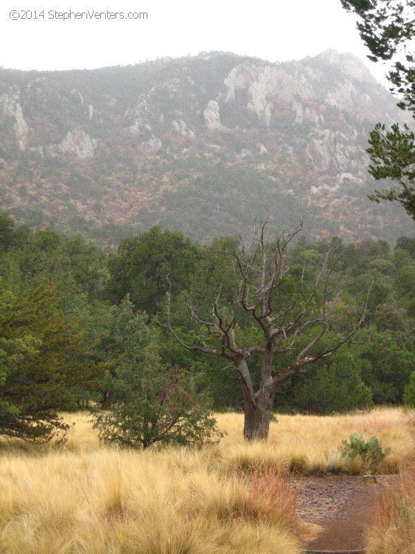 Backpacking in Big Bend NP 2008 - StephenVenters.com