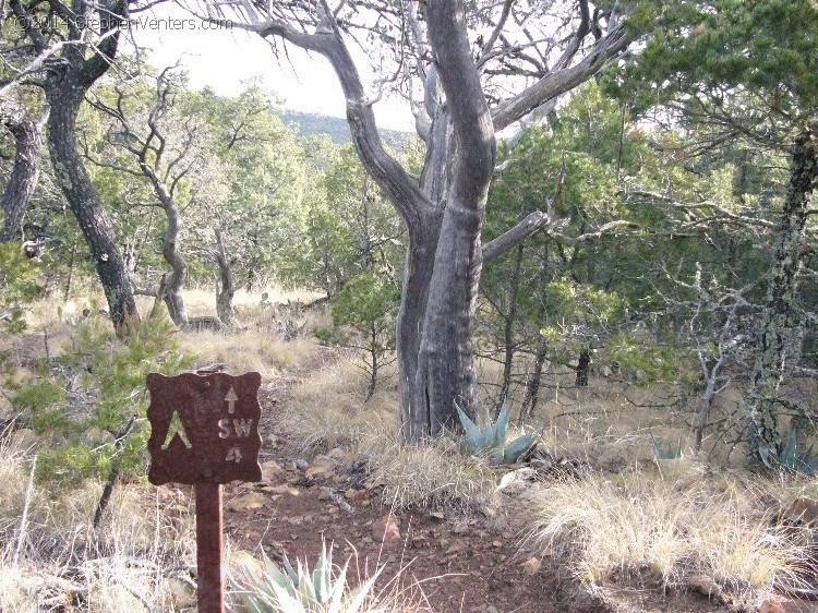 Backpacking in Big Bend NP 2008 - StephenVenters.com