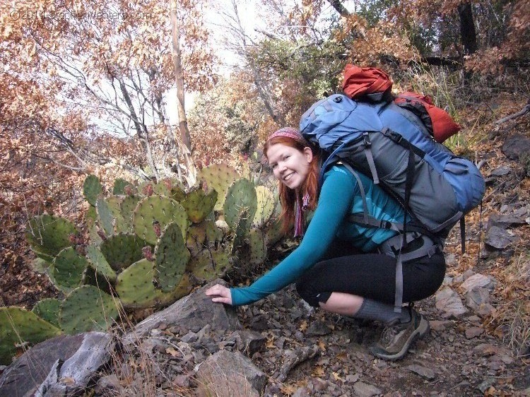 Backpacking in Big Bend NP 2008 - StephenVenters.com