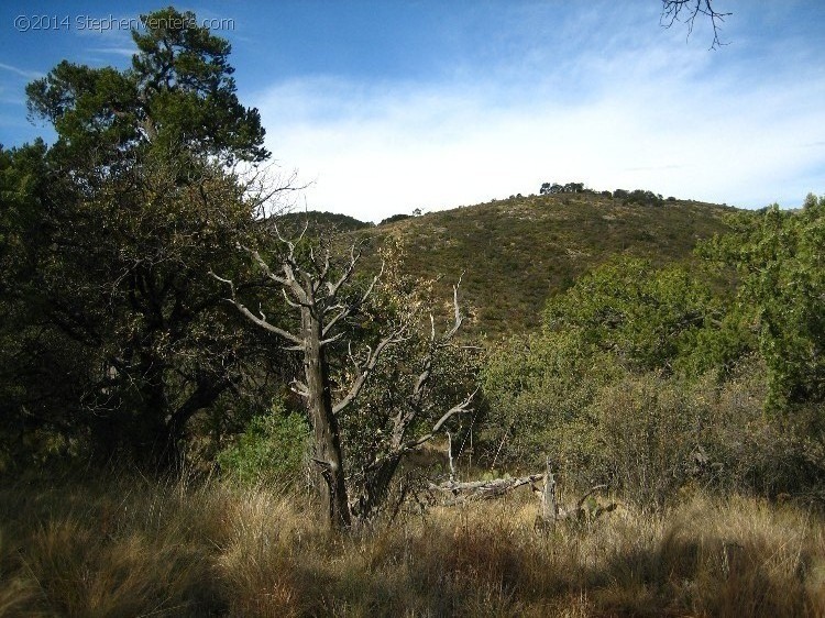 Backpacking in Big Bend NP 2008 - StephenVenters.com