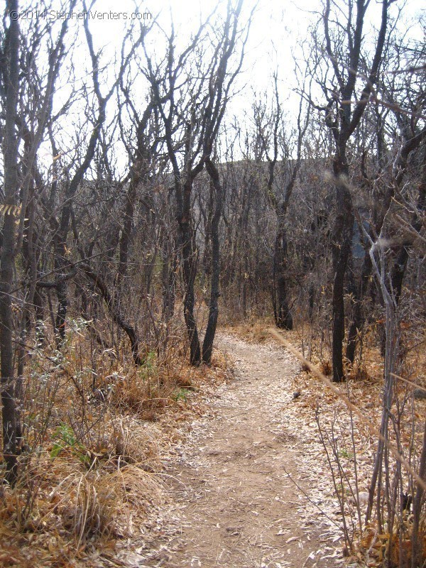 Backpacking in Big Bend NP 2008 - StephenVenters.com