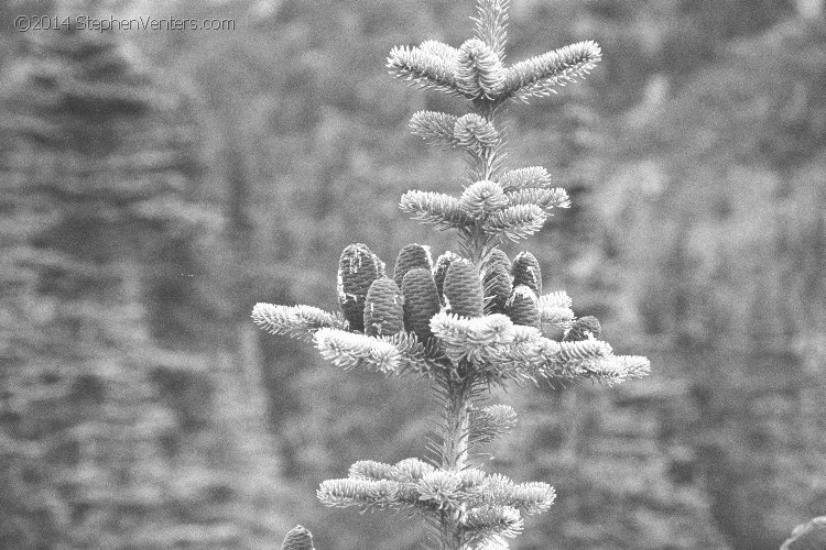 Trip to Skagway, Alaska 2005 - StephenVenters.com