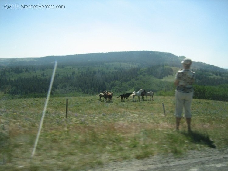 Trip to Glacier and Yellowstone National Parks 2008 - StephenVenters.com