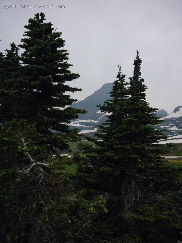 Trip to Glacier and Yellowstone National Parks 2008 - StephenVenters.com