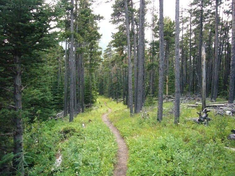 Trip to Glacier and Yellowstone National Parks 2008 - StephenVenters.com