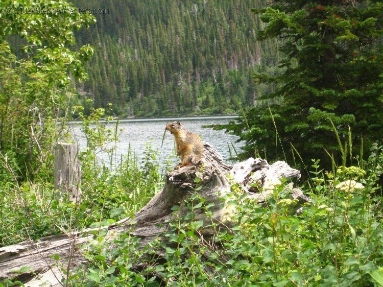 Trip to Glacier and Yellowstone National Parks 2008 - StephenVenters.com