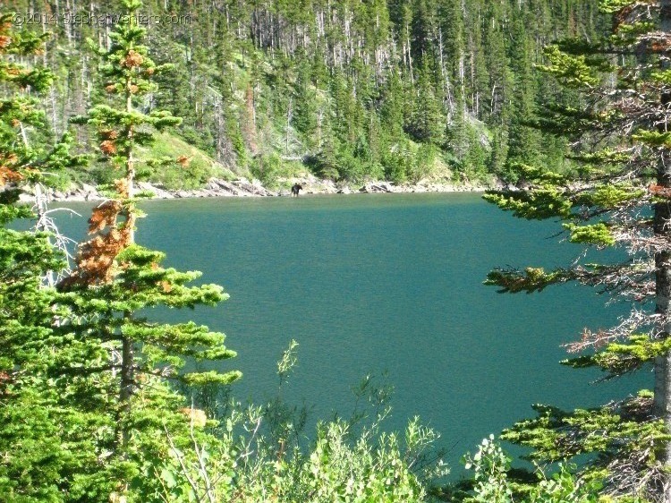 Trip to Glacier and Yellowstone National Parks 2008 - StephenVenters.com