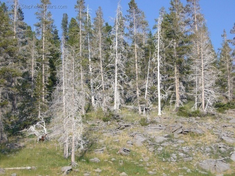 Trip to Glacier and Yellowstone National Parks 2008 - StephenVenters.com