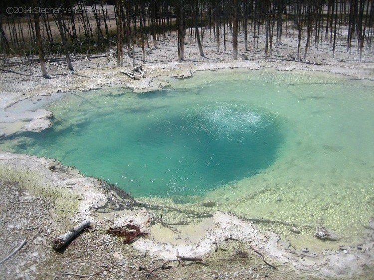 Trip to Glacier and Yellowstone National Parks 2008 - StephenVenters.com