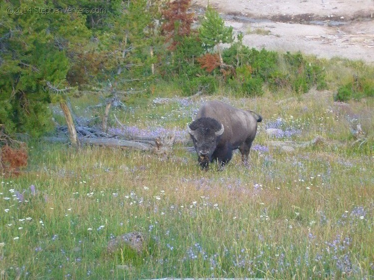 Trip to Glacier and Yellowstone National Parks 2008 - StephenVenters.com