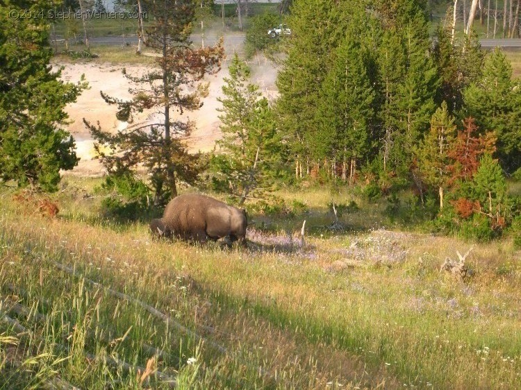 Trip to Glacier and Yellowstone National Parks 2008 - StephenVenters.com