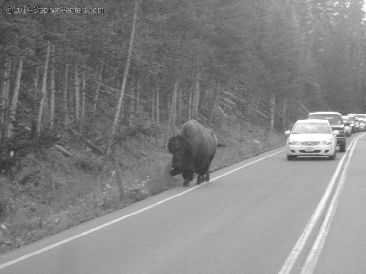 Trip to Glacier and Yellowstone National Parks 2008 - StephenVenters.com