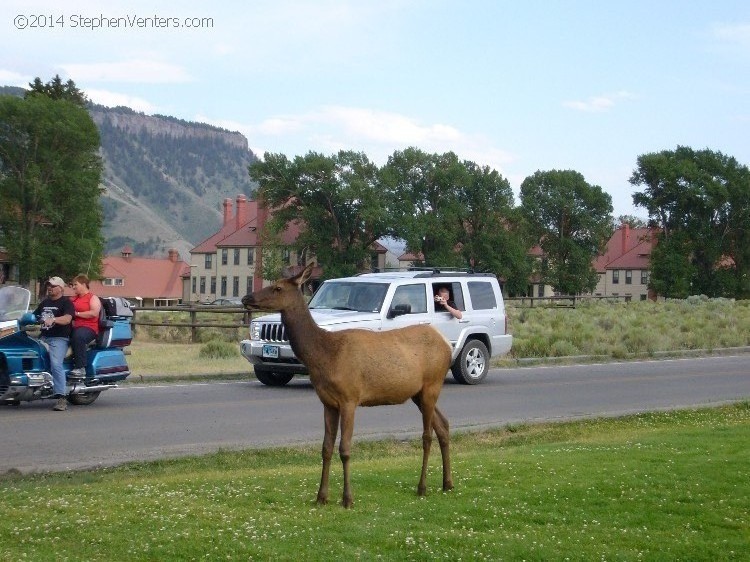 Trip to Glacier and Yellowstone National Parks 2008 - StephenVenters.com