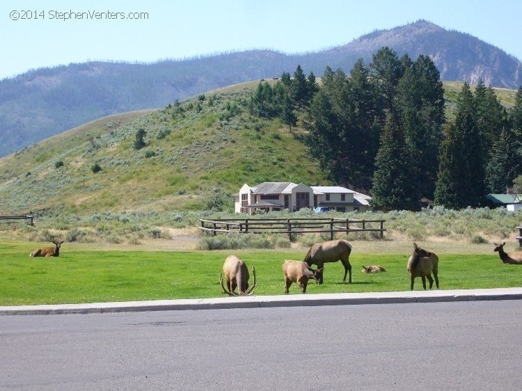 Trip to Glacier and Yellowstone National Parks 2008 - StephenVenters.com