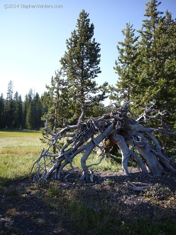 Trip to Glacier and Yellowstone National Parks 2008 - StephenVenters.com