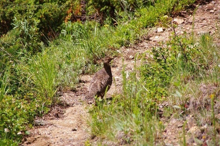 Trip to Colorado 2009 - StephenVenters.com