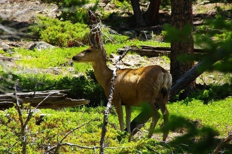 Trip to Colorado 2009 - StephenVenters.com