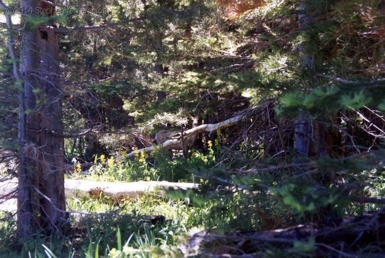 Troop 10 Backpacking at Philmont 1997 - StephenVenters.com