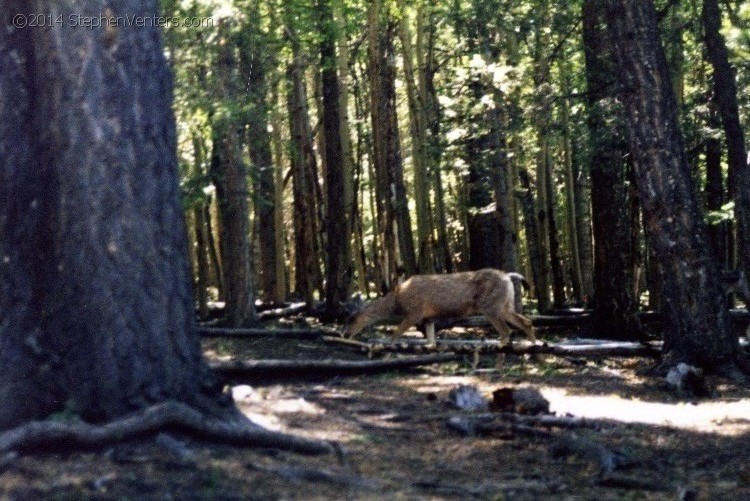 Troop 10 Backpacking at Philmont 1997 - StephenVenters.com