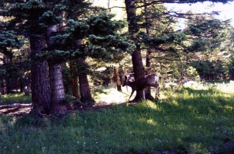 Troop 10 Backpacking at Philmont 1997 - StephenVenters.com