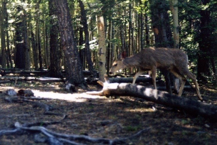 Troop 10 Backpacking at Philmont 1997 - StephenVenters.com