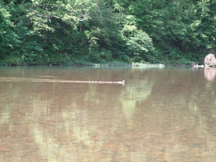 Floating the Current River 2006 - StephenVenters.com