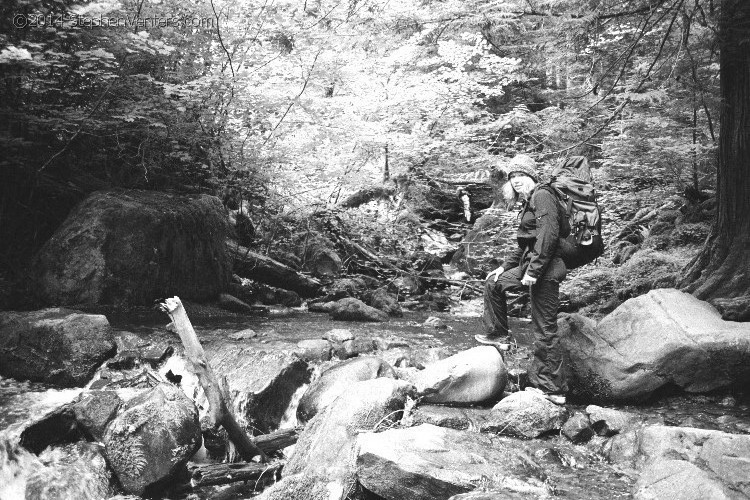 Backpacking in Olympic NP 2005 - StephenVenters.com