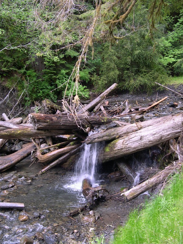 Backpacking in Olympic NP 2005 - StephenVenters.com