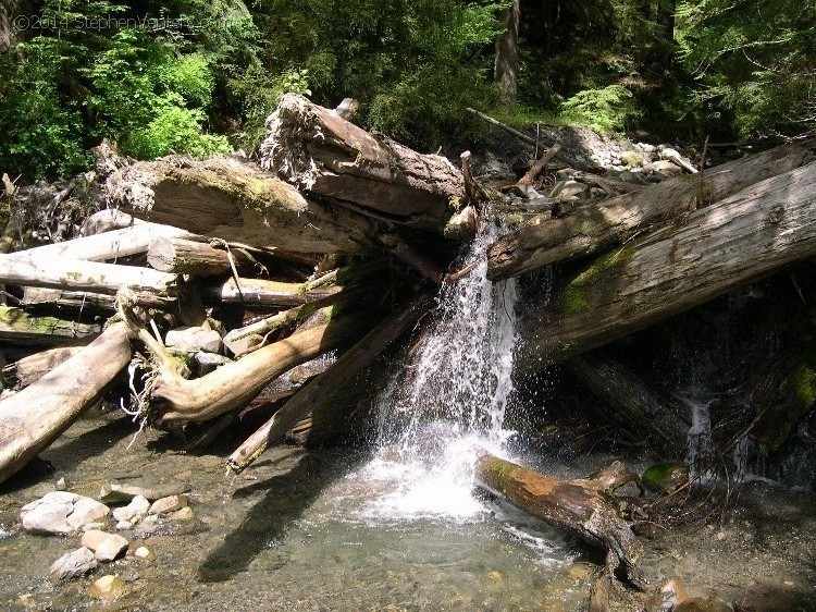 Backpacking in Olympic NP 2005 - StephenVenters.com