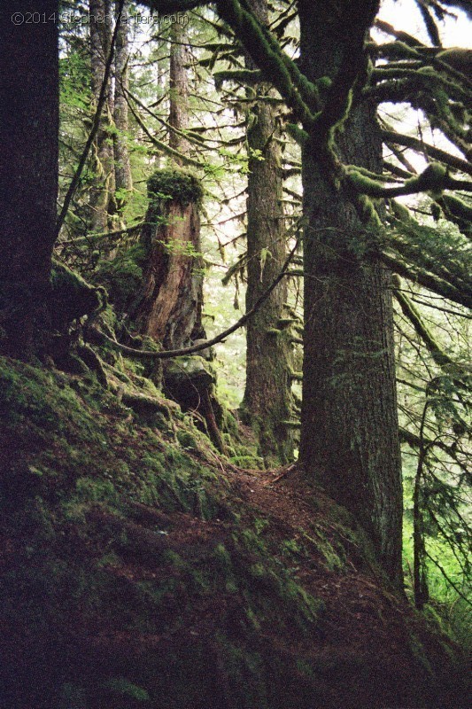 Backpacking in Olympic NP 2005 - StephenVenters.com