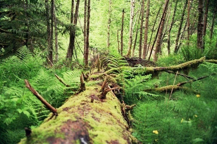 Backpacking in Olympic NP 2005 - StephenVenters.com