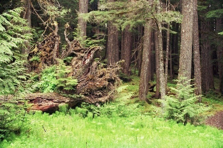 Backpacking in Olympic NP 2005 - StephenVenters.com