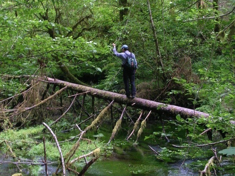 Backpacking in Olympic NP 2005 - StephenVenters.com