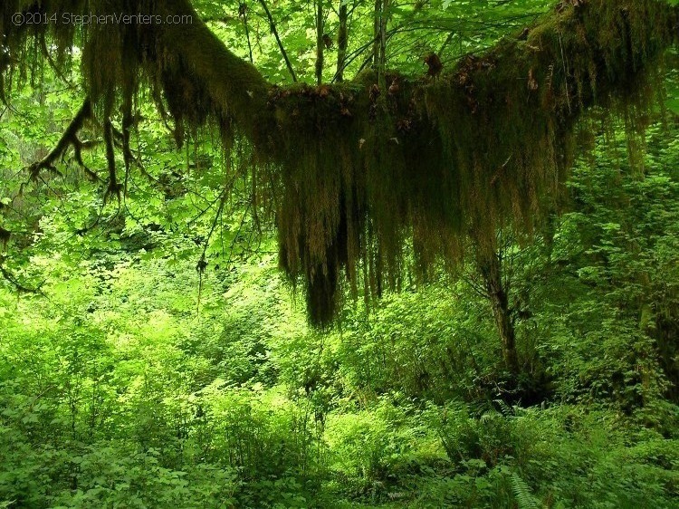 Backpacking in Olympic NP 2005 - StephenVenters.com